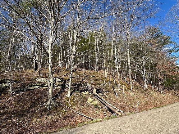 4th image of 1038 Sycamore Rd