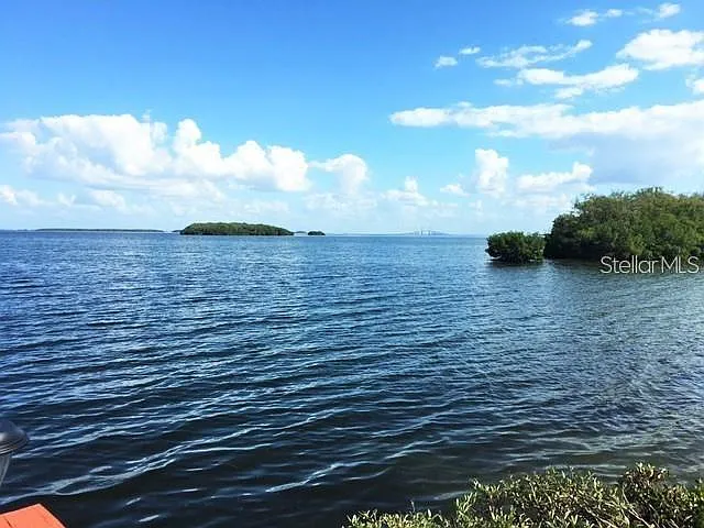 1515 Pinellas Way S #15