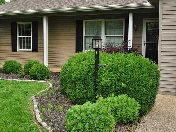 2nd image of 5 Parkview Dr