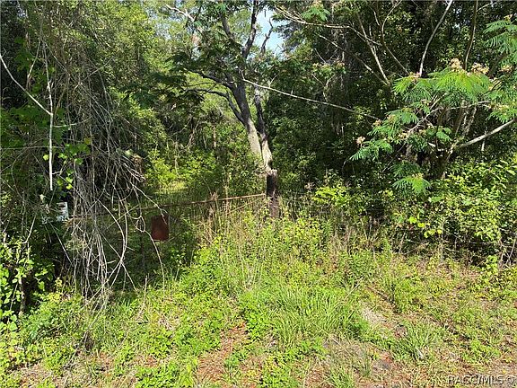 2nd image of 5236 N Oldwood Point