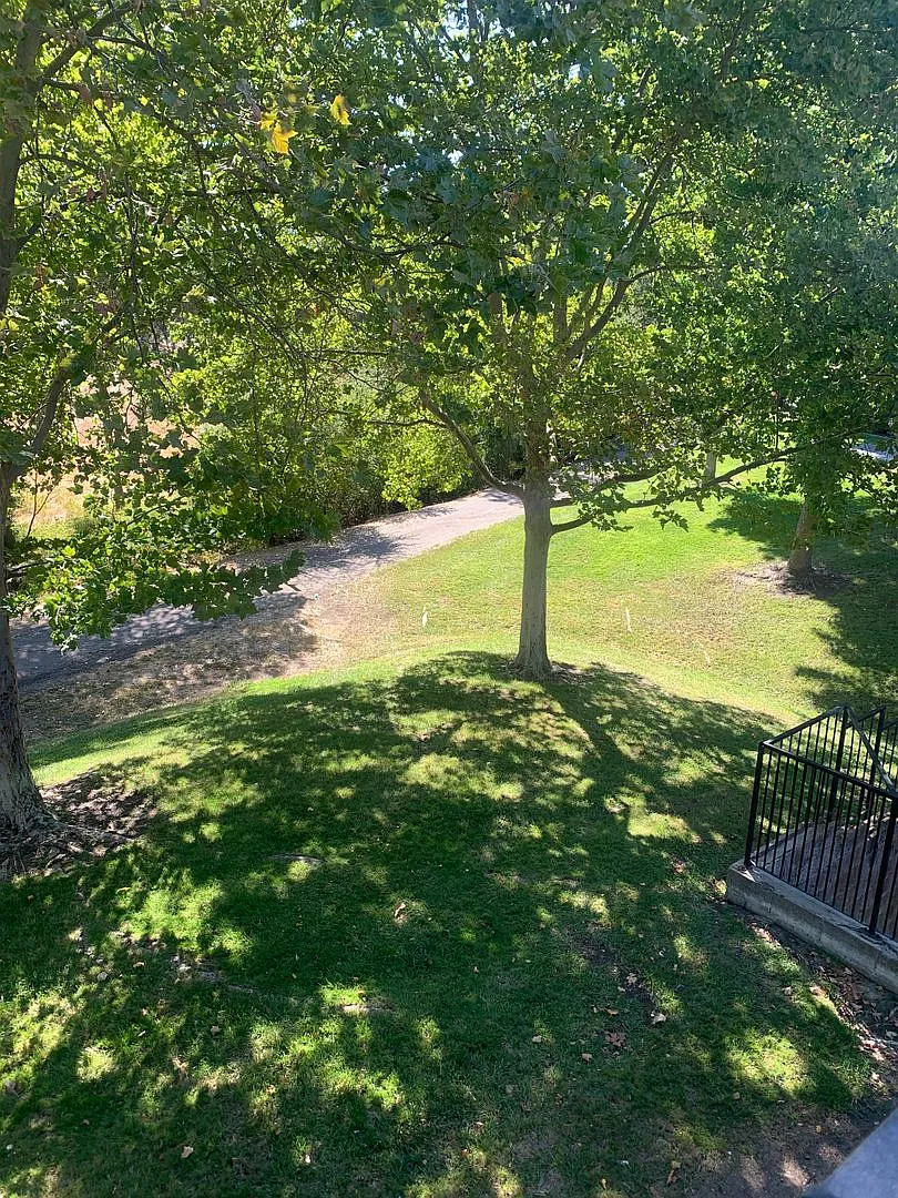 Dry Creek Apartments — Photo 1