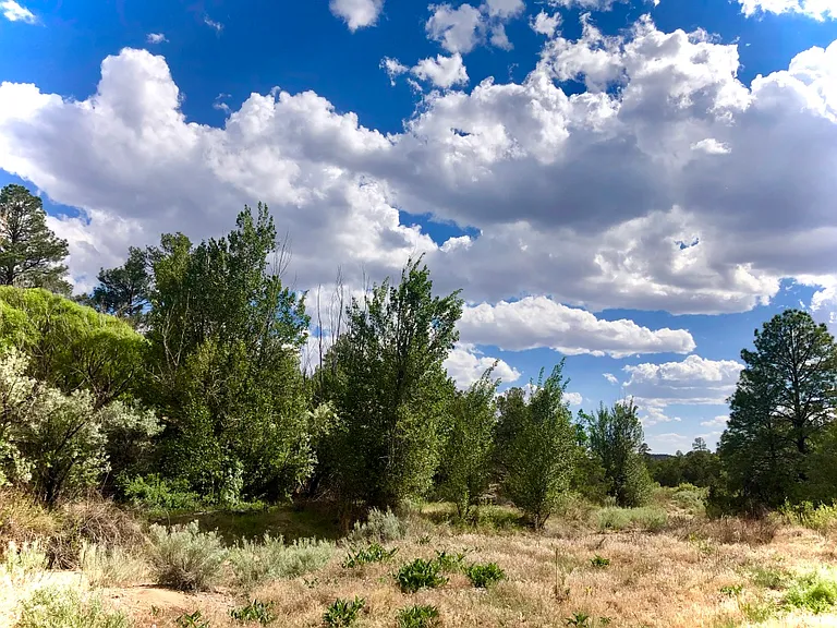 39 Burro Bend Rd #A — Photo 19