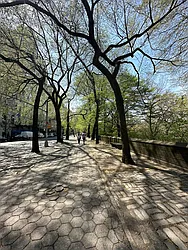 Rented by Nest Seekers International