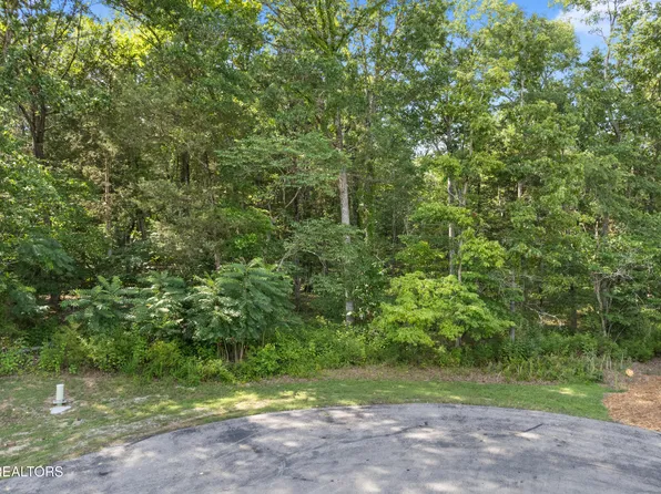 Bay Shore Dr, Rockwood, TN 37854