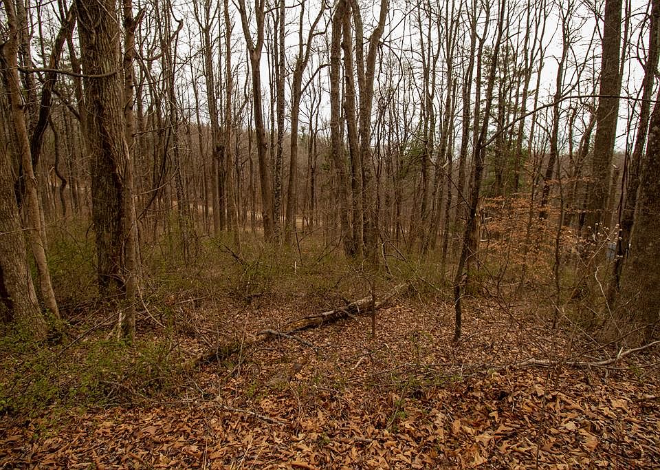 1st image of LOT 356 Scotch Pine Dr