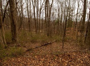LOT 356 Scotch Pine Dr, Copper Hill, VA 24079