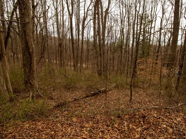 LOT 356 Scotch Pine Dr, Copper Hill, VA 24079