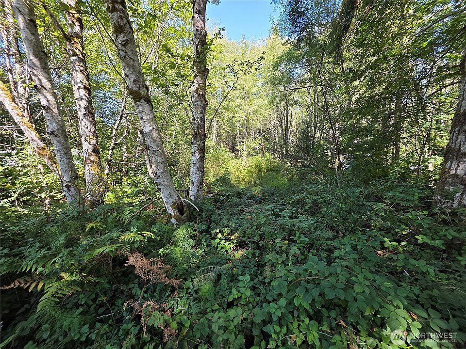 2nd image of 0 Cedar Place