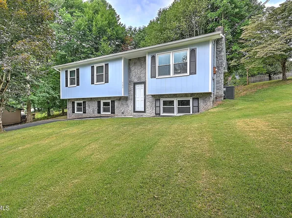 107 Mountain View Cir, Hampton, TN 37658