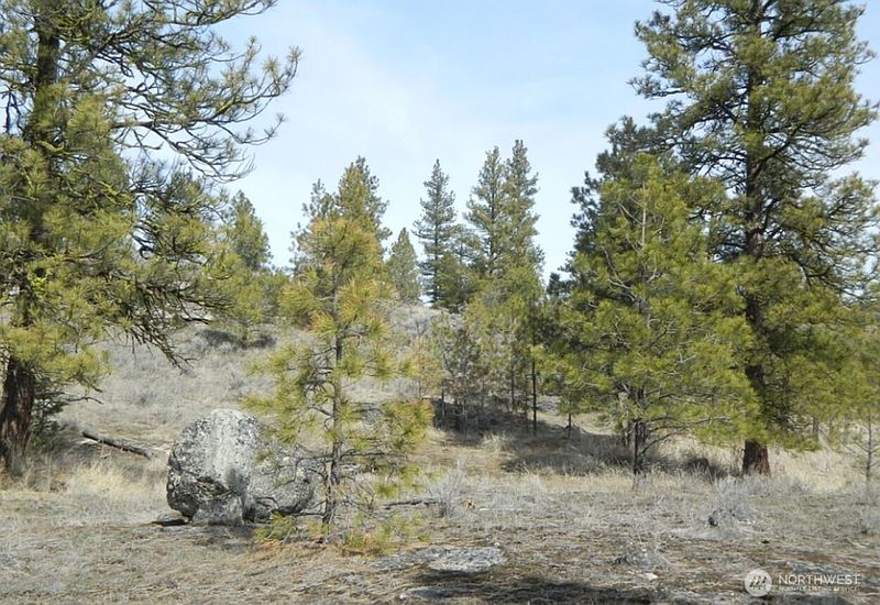 2nd image of 280 Reevas Basin Road