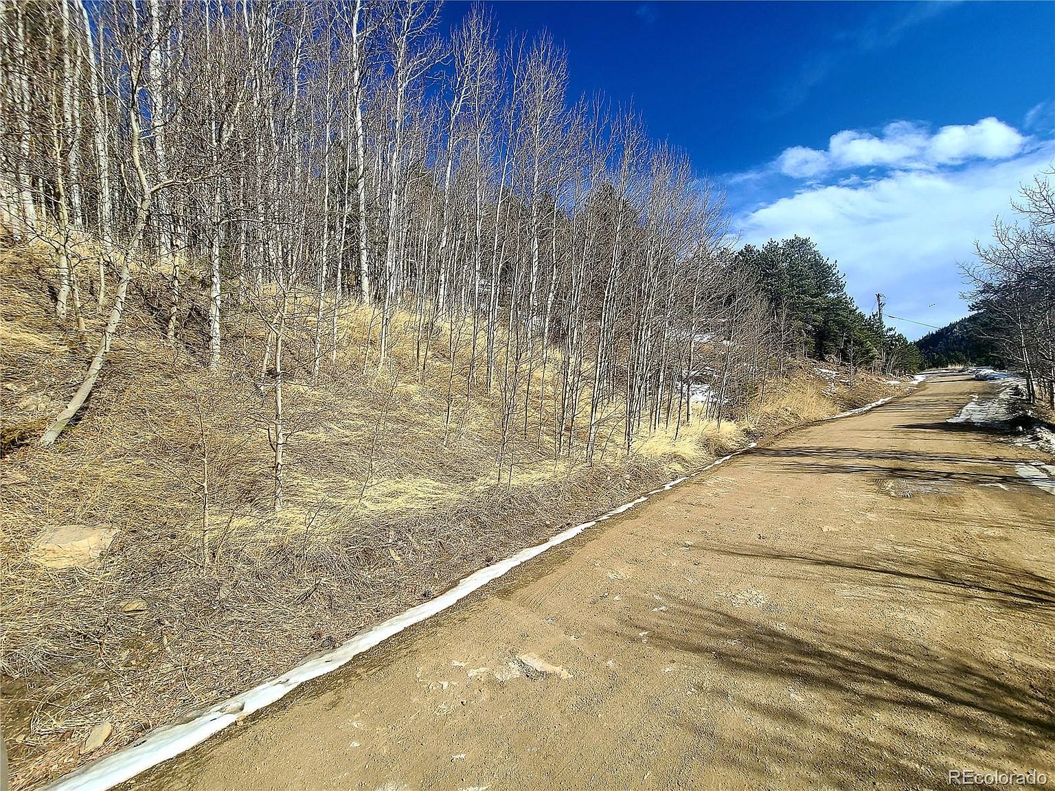 209 Assay Office Road Lot 46, Rollinsville, CO 80474 Zillow