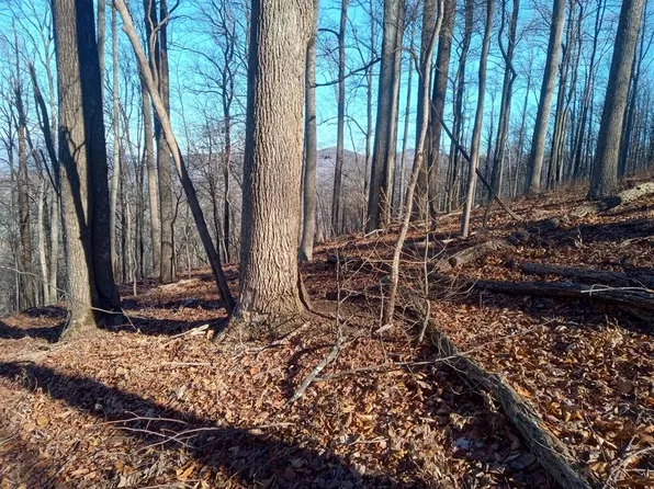 LOT M214 Walnut Rdg, Ellijay, GA 30536