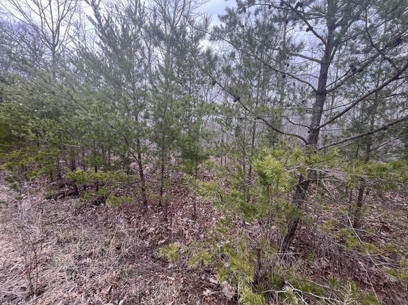 0 Maple St LOT 148, Pikeville, TN 37367