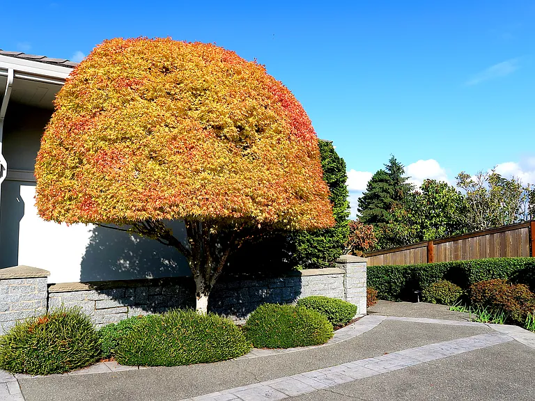 16458 SE 44th Pl — Photo 60