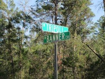 6640 N Tripoli Ter LOT 2, Dunnellon, FL, 34433