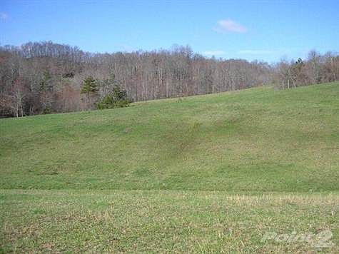 Perfect mixture of pasture and woods.  Was bought a few years ago by a man from New York who was planning to build his retirement home here. He would love to get here, but circumstances are not going to allow it.  If you'd like to see a youTube video he did on the property go to http://youtu.be/BNMskRc1vy4   We will also have other pictures on in the next week or so.
