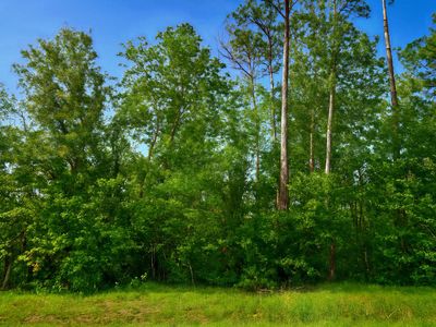 LOT 31 NW 23rd Blvd, Jennings, FL, 32053