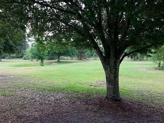 Mature Oaks & Pines Shade S Side