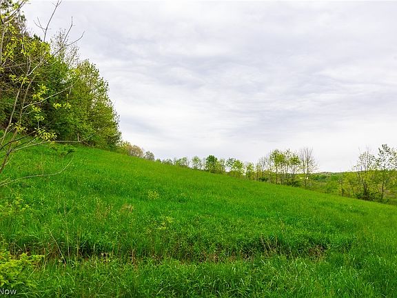 5th image of 60936 Patch Rd