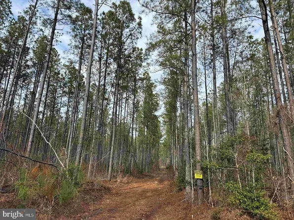 Dogwood Dr #Et2-2006, Farnham, VA 22460