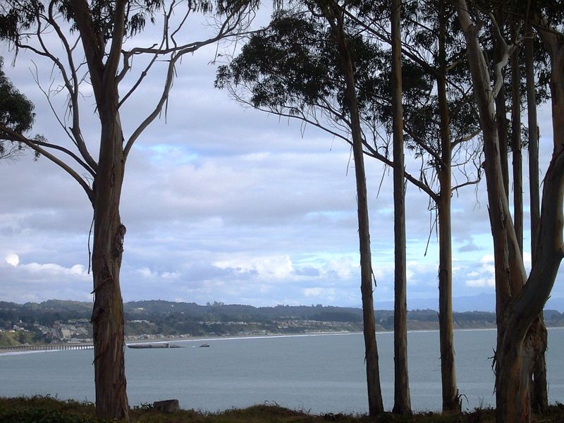 Ocean View 3