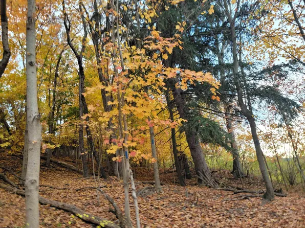 Tbd Dogtown Rd, Kingwood, WV 26537