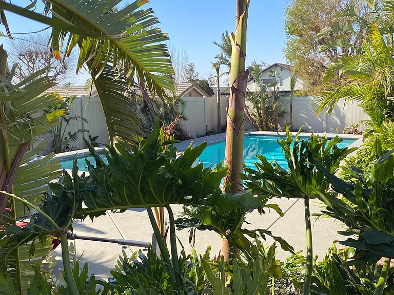 Enjoy the private fenced pool and jacuzzi_perfect for relaxing under the sun or stars. Available for an additional fee to enhance your stay. Dive in and unwind!