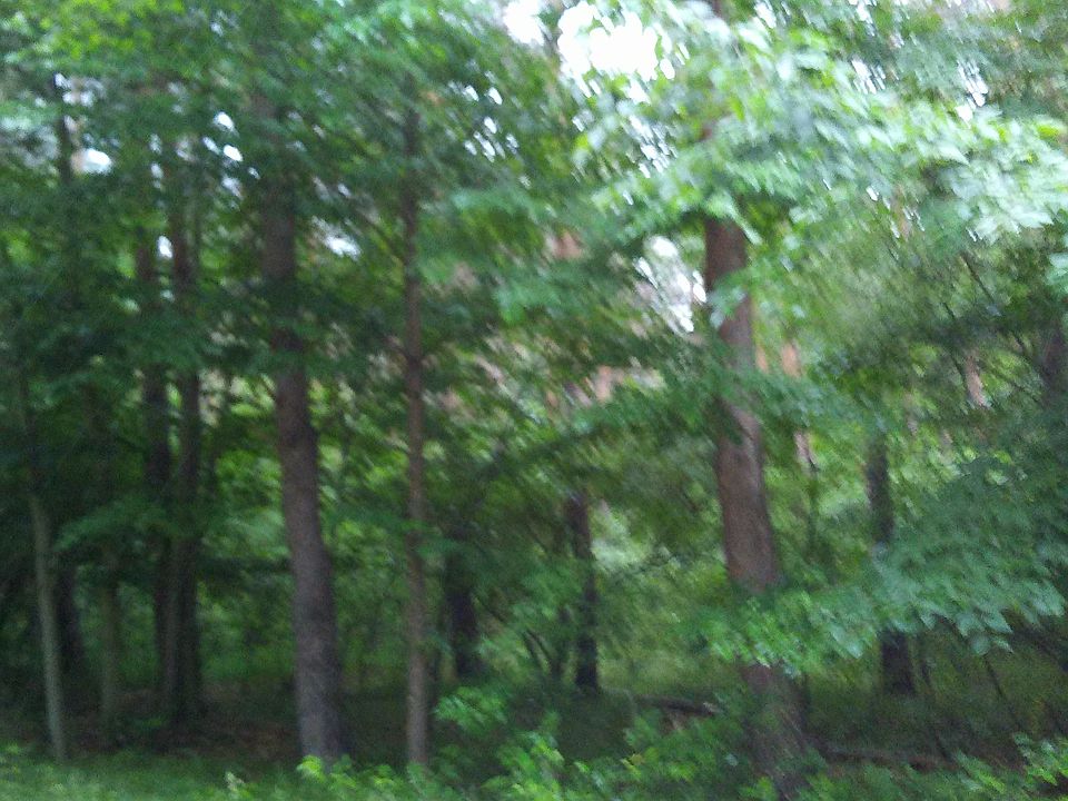 1st image of 11693 Red Feather Ln