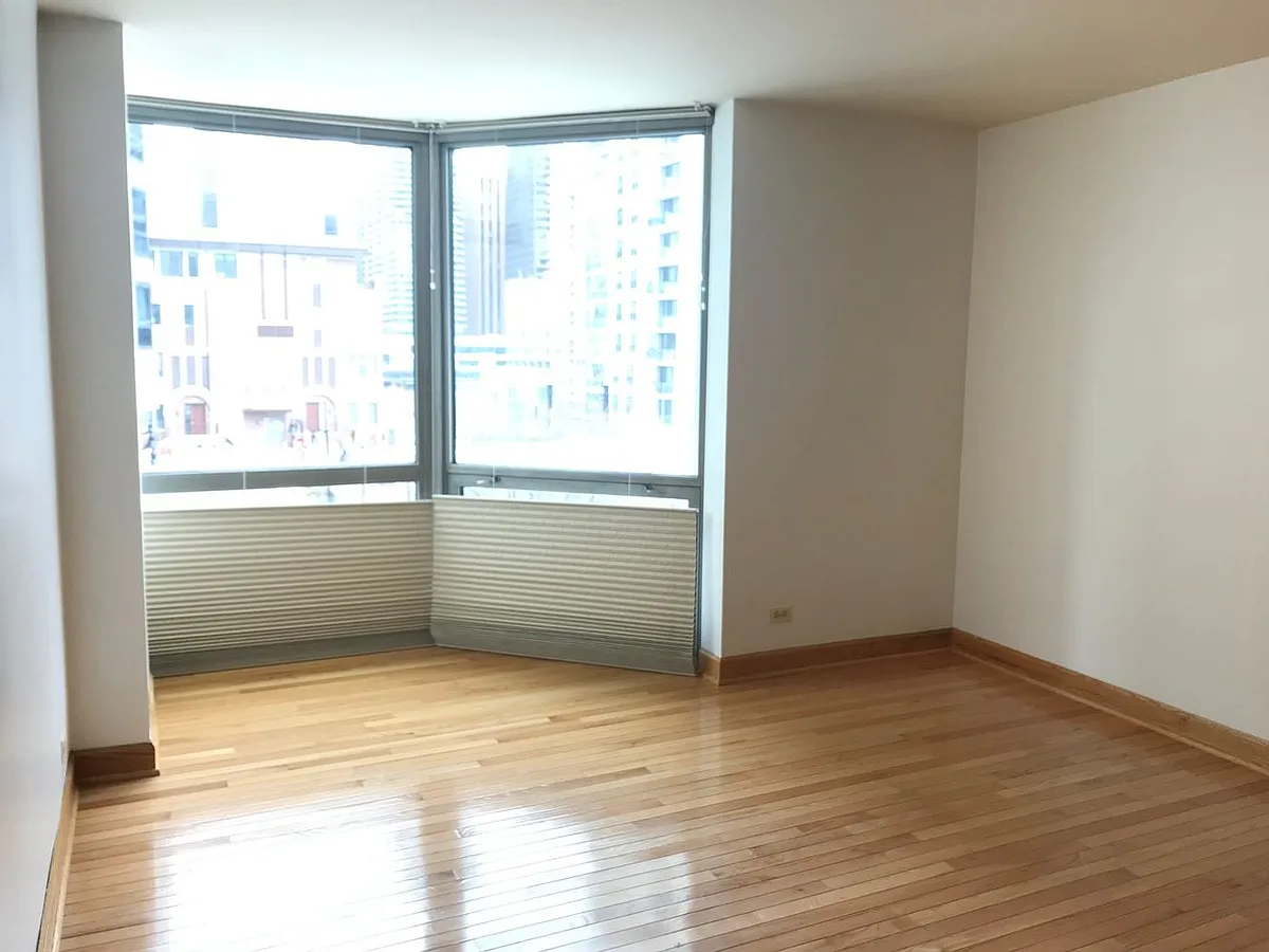 Building Photo - 195 N Harbor Dr #207