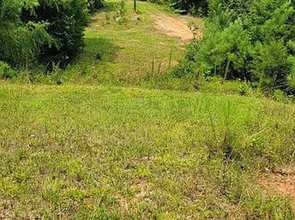 499 Berkeley Rd, Carlton, GA 30627