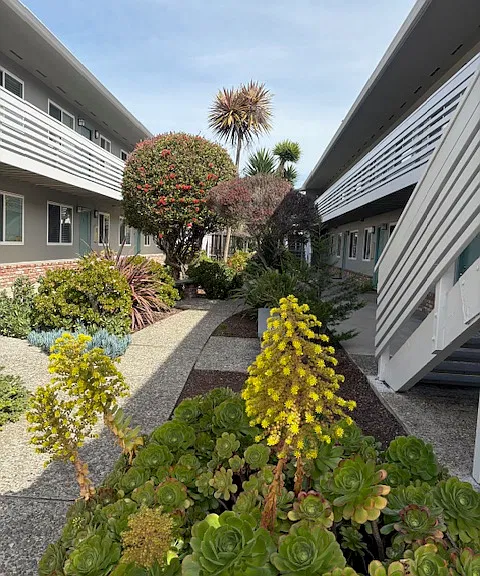 Carmel Ave Apartments — Photo 29