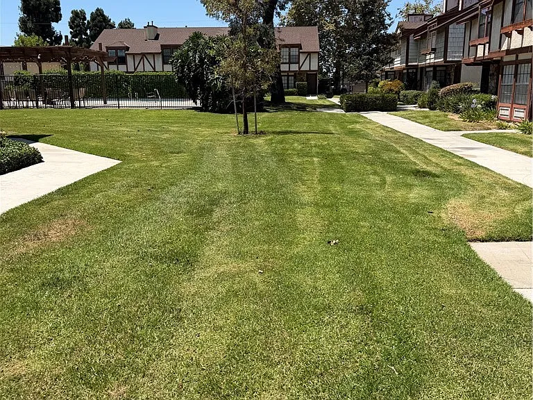 1161 S Paula Dr — Photo 17