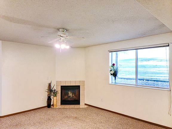 Entry viewing fireplace