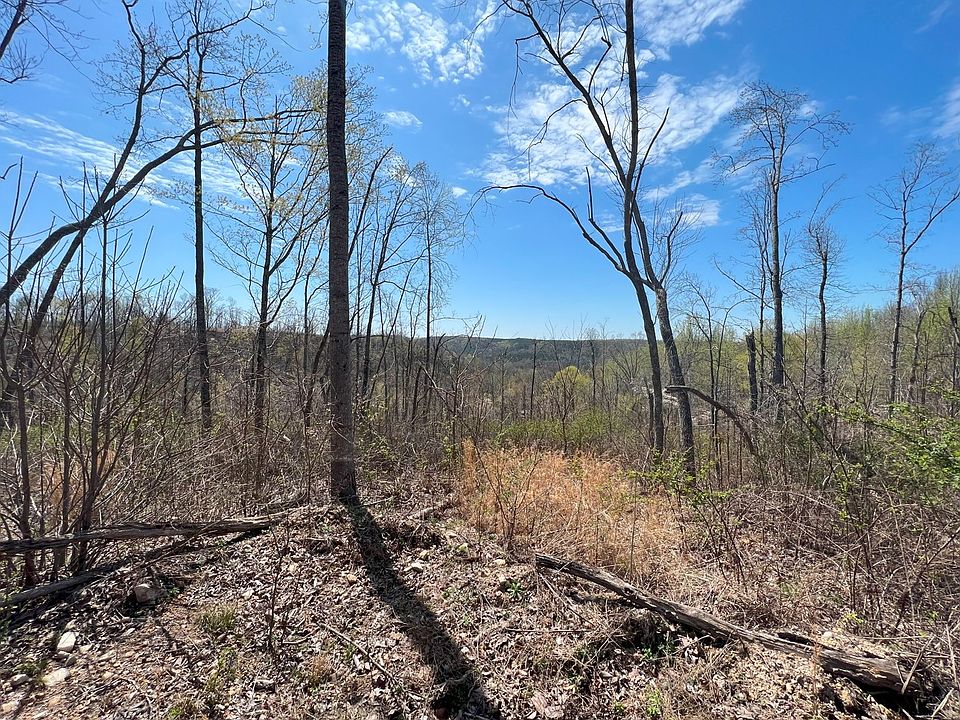 0 Sewell Branch Rd LOT B, Clifton, TN 38425 | Zillow