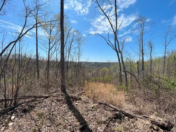 0 Sewell Branch Rd Lot B, Clifton, TN 38425