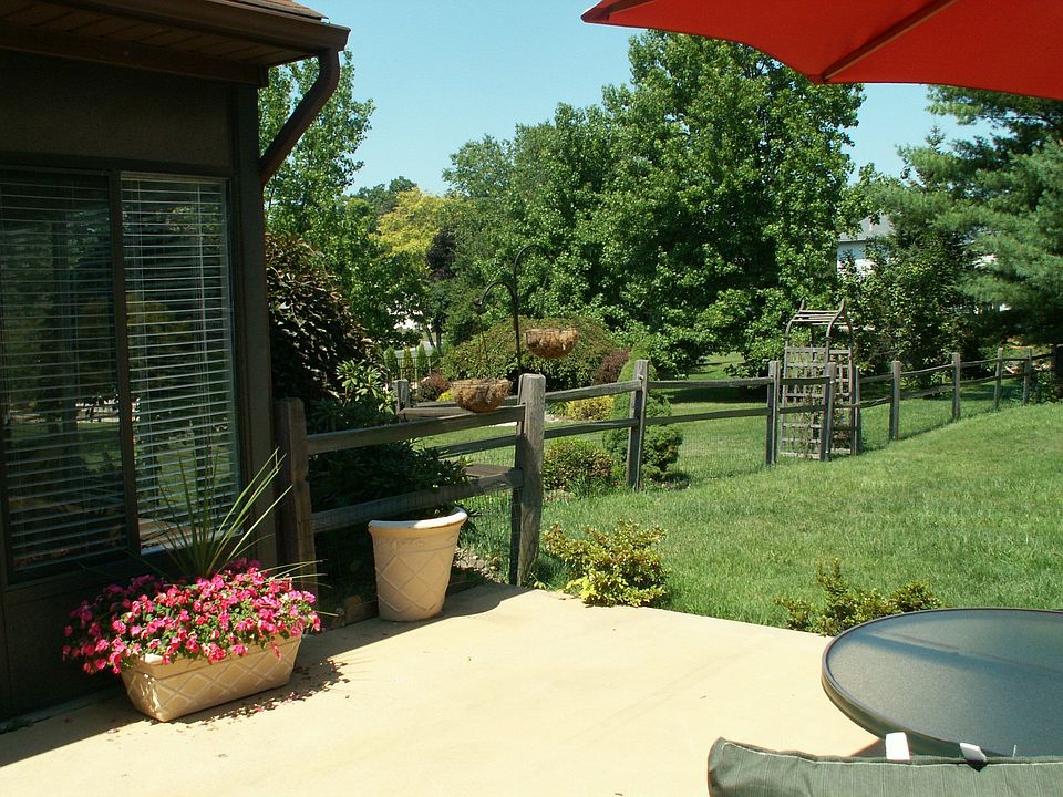 peaceful backyard