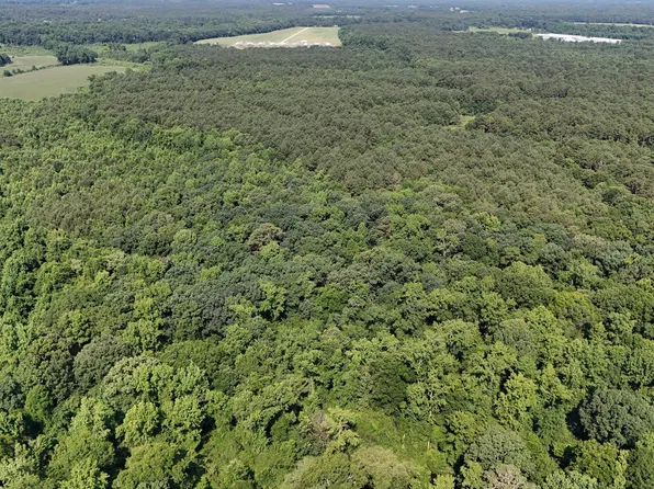 0 Reedsford Road, Turkey, NC 28393