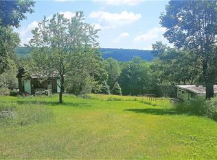 21 Berry Ln, Denning, NY 12740