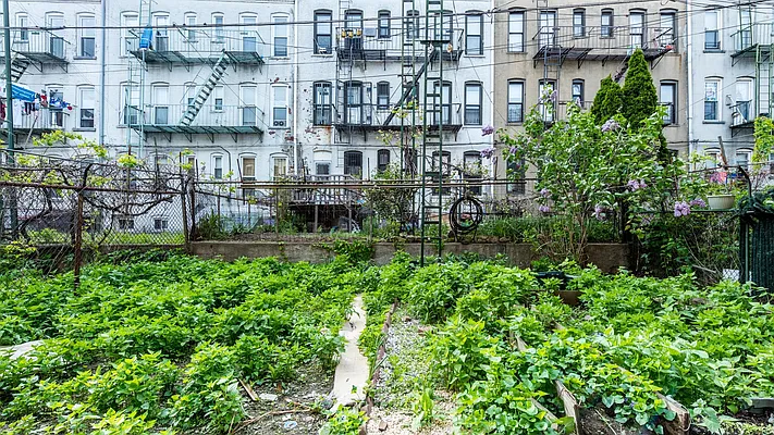 Rented by Nooklyn NYC LLC | media 13