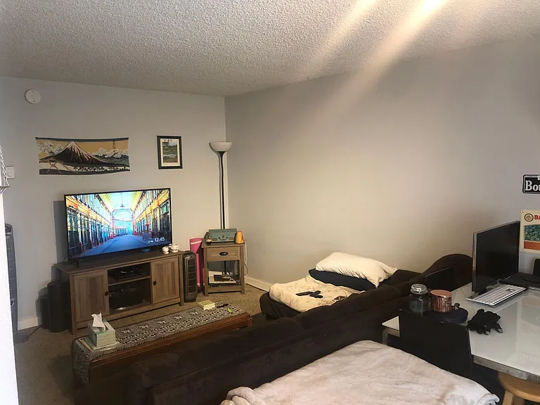 Living Room in Open Floor Plan