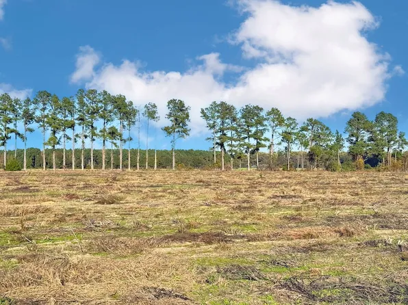 Mike Rogers Farm Rd Lot Wp05c, Clio, SC 29525
