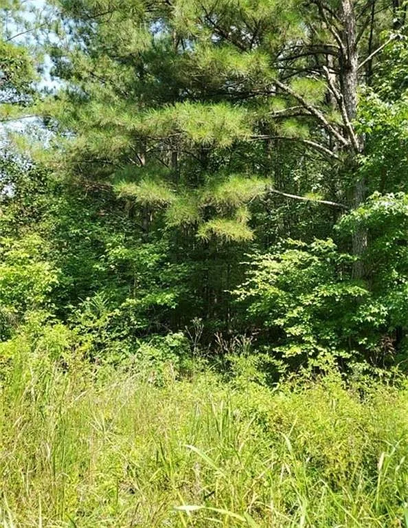 Studio, 217800 sqft, $800 — Photo 1