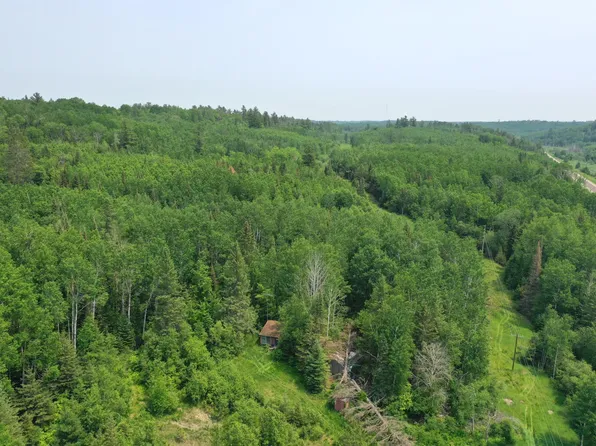 8852 Orr Buyck Rd, Orr, MN 55771