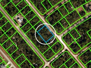 546 Buckley Rd, Lake Placid, FL 33852