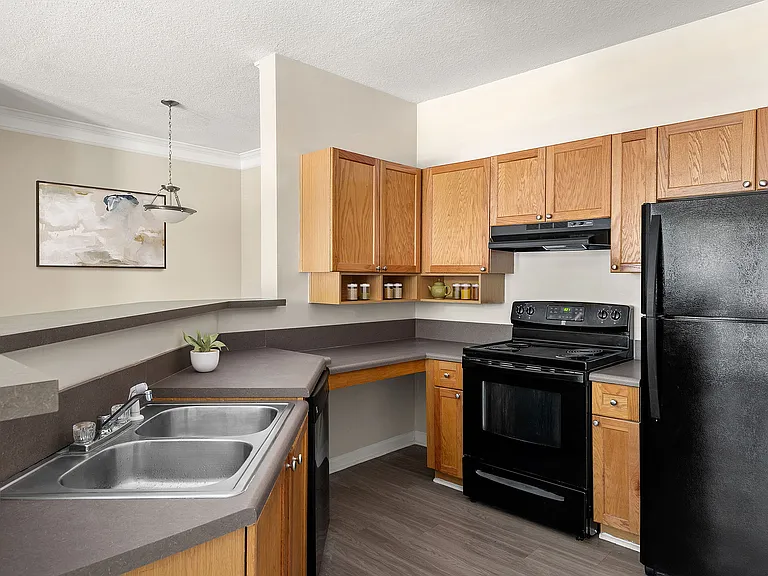 C195580_CreeksideVista_1B1B_KITCHEN_01_03_VS