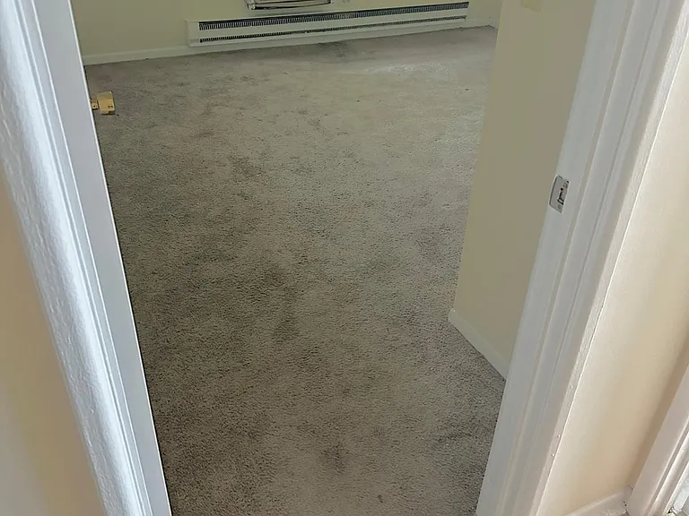 729 Strom Dr #2B — Photo 5