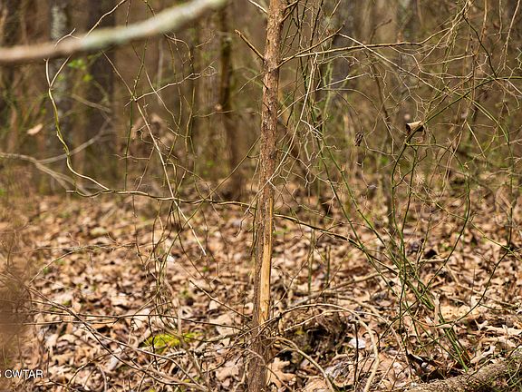 26th image of this home