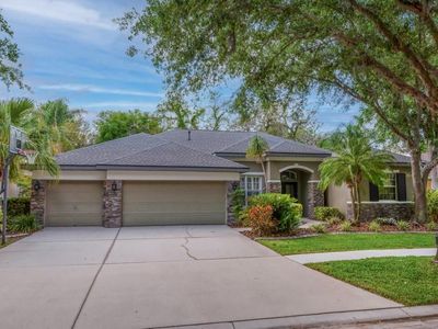 6205 Ibispark Dr, Lithia, FL, 33547