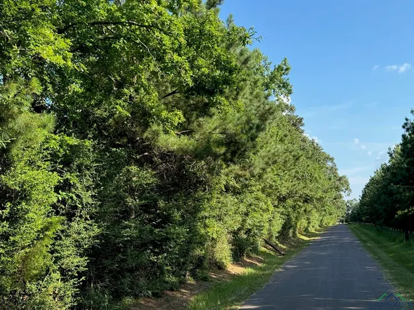 LOT 10 Old McKinley Rd, Jefferson, TX 75657