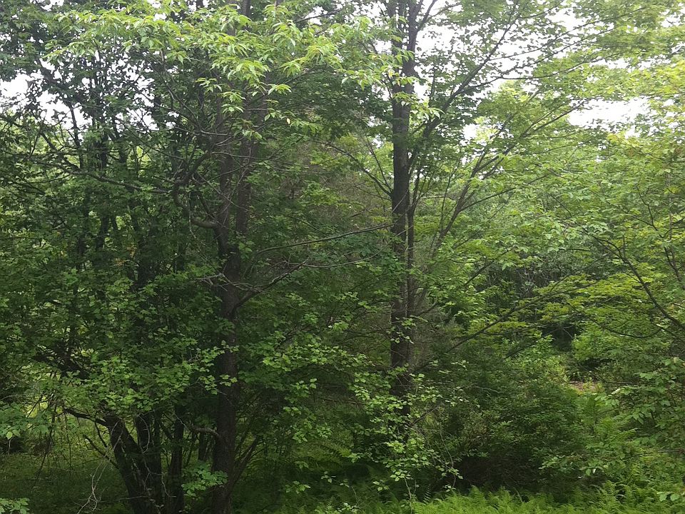 2nd image of 428 Wedemeyer Rd